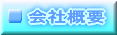 ЊTv